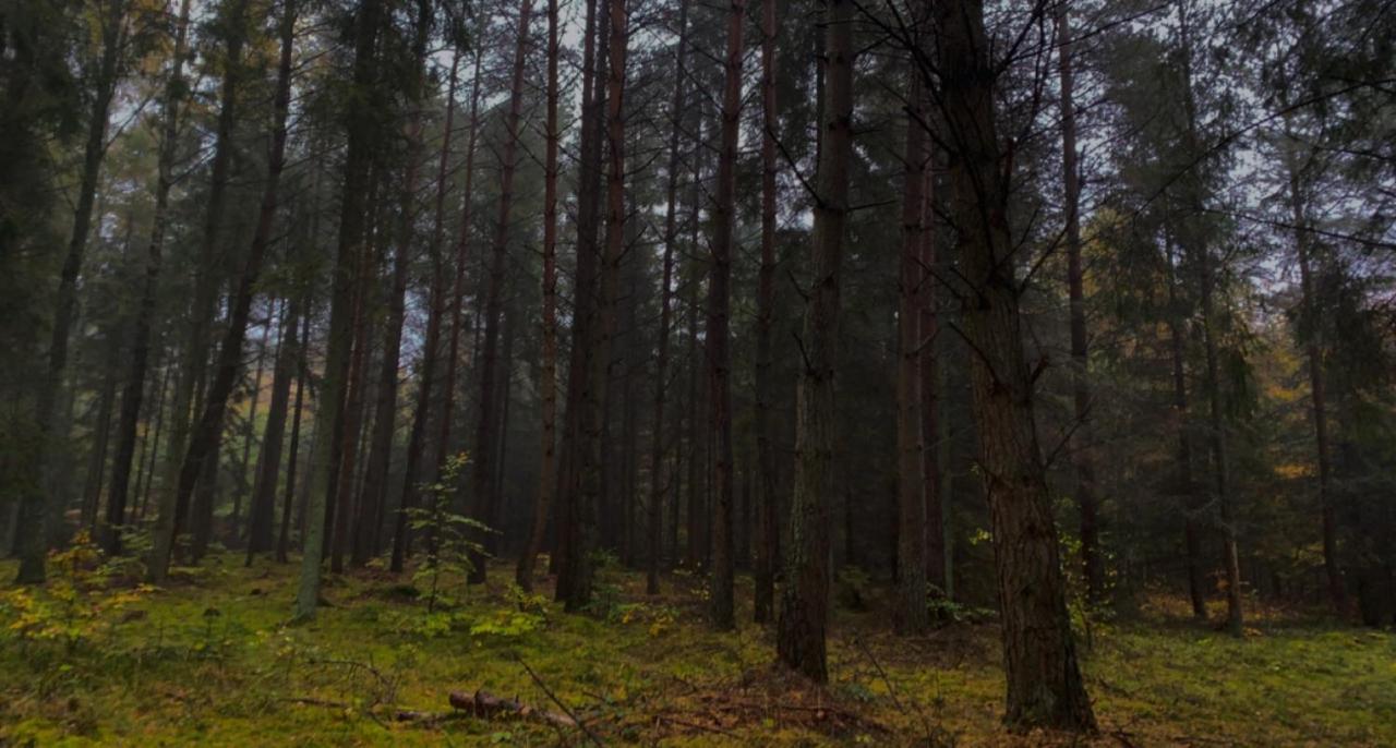 Nadmorski Dom Pod Lasem Villa Mieroszyno Exteriör bild